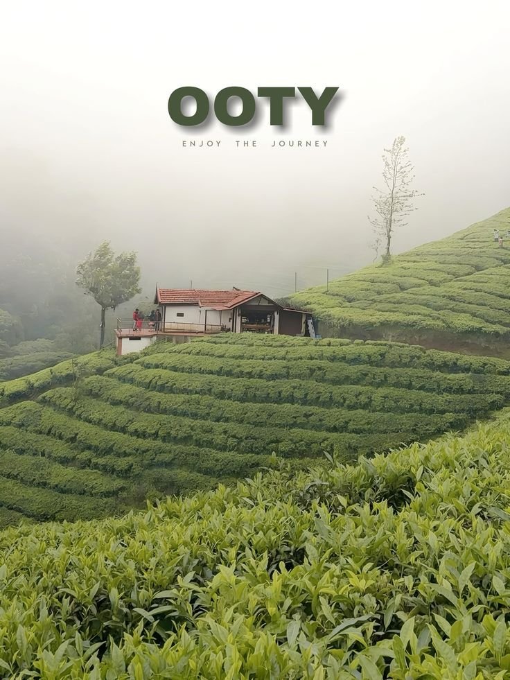 Chennai to Ooty package