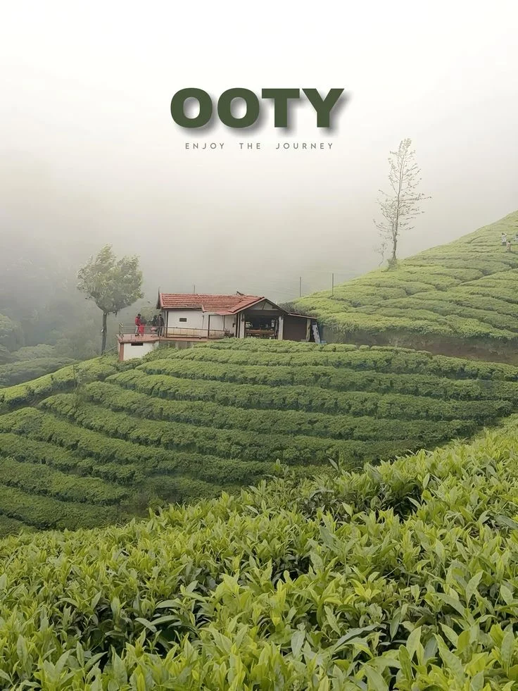 Chennai to Ooty package